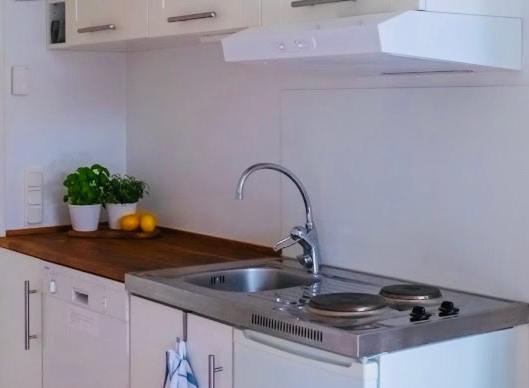 Lovely Studio In The Citycenter Of Сіґтуна Екстер'єр фото